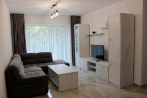 City Center Cozy Apartments near Shops and Restaurants in Suceava